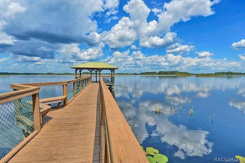 3659 E Ibis Cove Ct, Hernando, FL 34442 photo 61