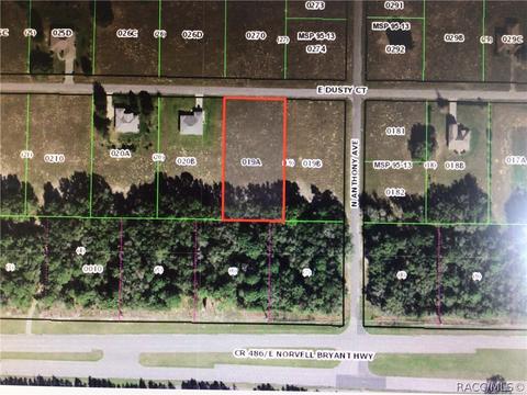 196 E Dusty Ct, Hernando, FL 34442