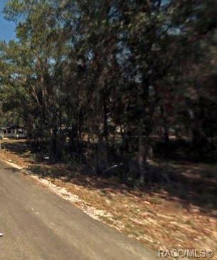 3246 E Wagon Trl, Hernando, FL 34442 photo 5