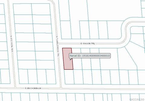 3246 E Wagon Trl, Hernando, FL 34442 photo 3