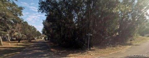 3246 E Wagon Trl, Hernando, FL 34442 photo 4