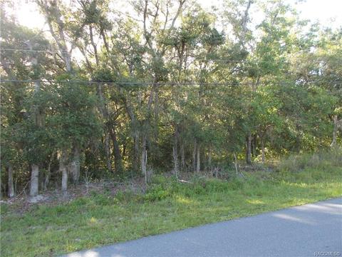 527 N Grandview Ave, Hernando, FL 34442 photo 5