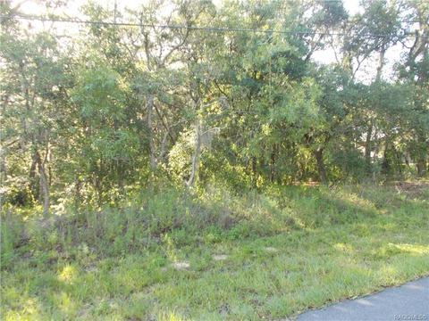 527 N Grandview Ave, Hernando, FL 34442 photo 3