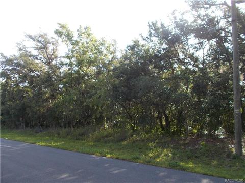 527 N Grandview Ave, Hernando, FL 34442