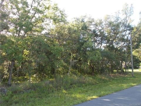 527 N Grandview Ave, Hernando, FL 34442 photo 4