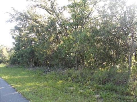 527 N Grandview Ave, Hernando, FL 34442 photo 2