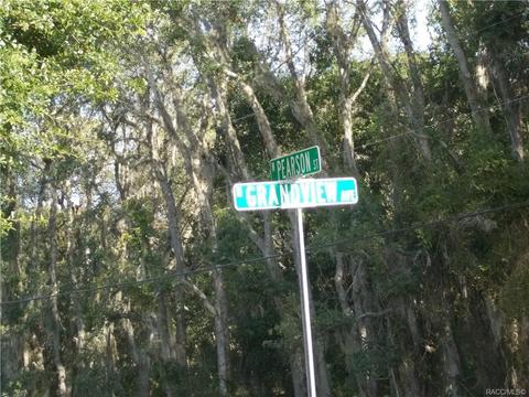 527 N Grandview Ave, Hernando, FL 34442 photo 6