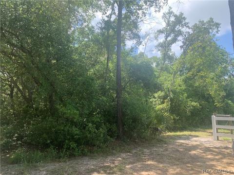 6326 6368 E Grantham Ct, Hernando, FL 34442 photo 13