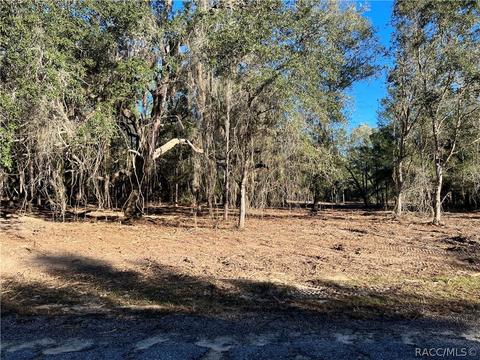 703 E Malaga Ln, Citrus Springs, FL 34434
