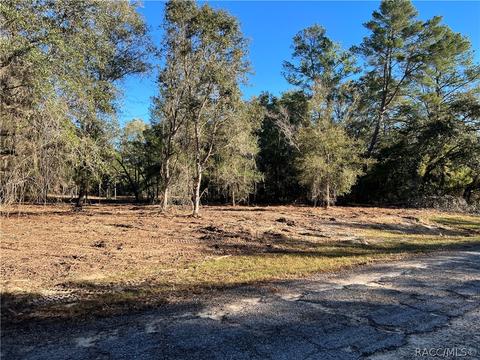 725 E Malaga Ln, Citrus Springs, FL 34434