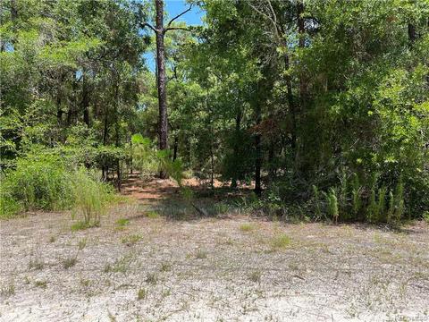 8293 W Pine Bluff St, Crystal River, FL 34428 photo 4