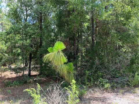 8293 W Pine Bluff St, Crystal River, FL 34428 photo 2
