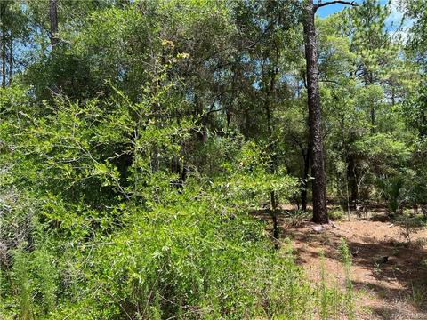 8293 W Pine Bluff St, Crystal River, FL 34428 photo 1