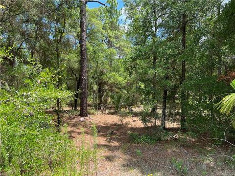 8293 W Pine Bluff St, Crystal River, FL 34428 photo 3