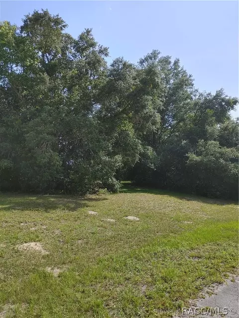 318 E Tara Ct, Hernando, FL 34442 photo 7