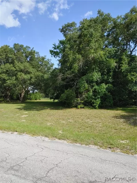 318 E Tara Ct, Hernando, FL 34442 photo 11
