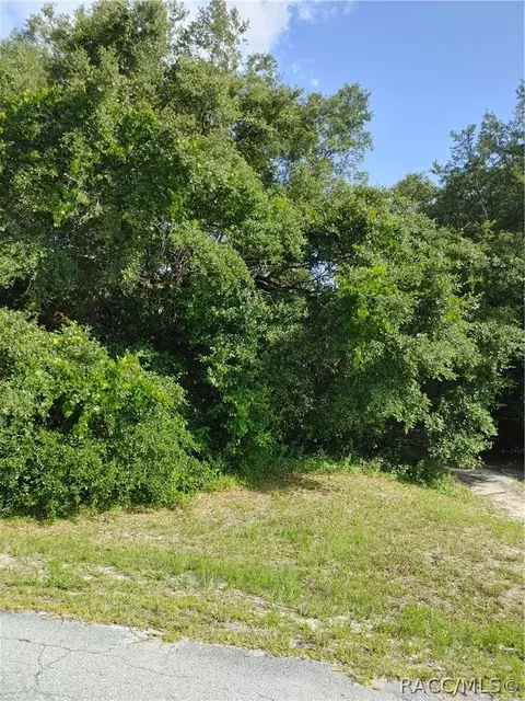 318 E Tara Ct, Hernando, FL 34442 photo 13