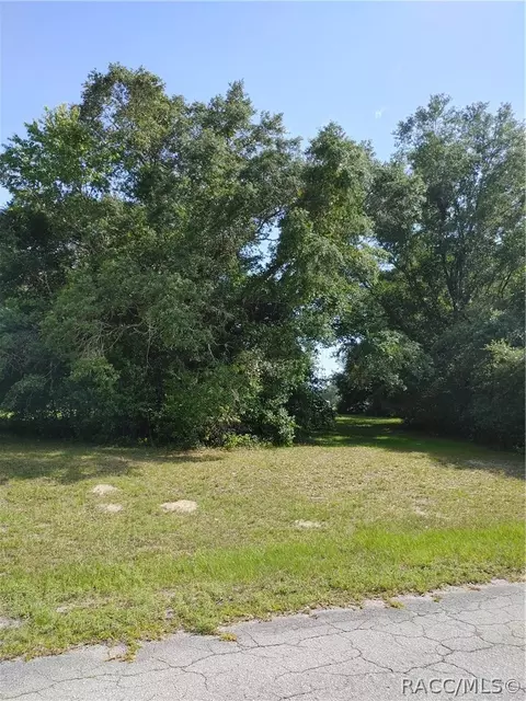 318 E Tara Ct, Hernando, FL 34442 photo 4