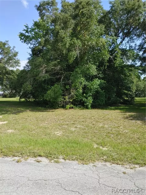 318 E Tara Ct, Hernando, FL 34442 photo 3