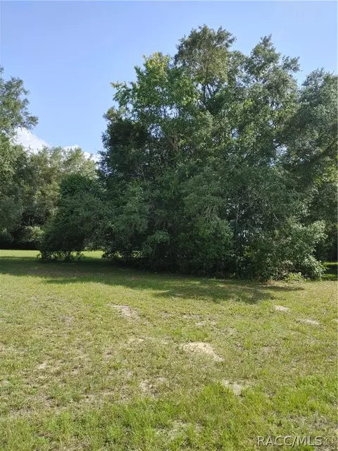 318 E Tara Ct, Hernando, FL 34442 photo 6