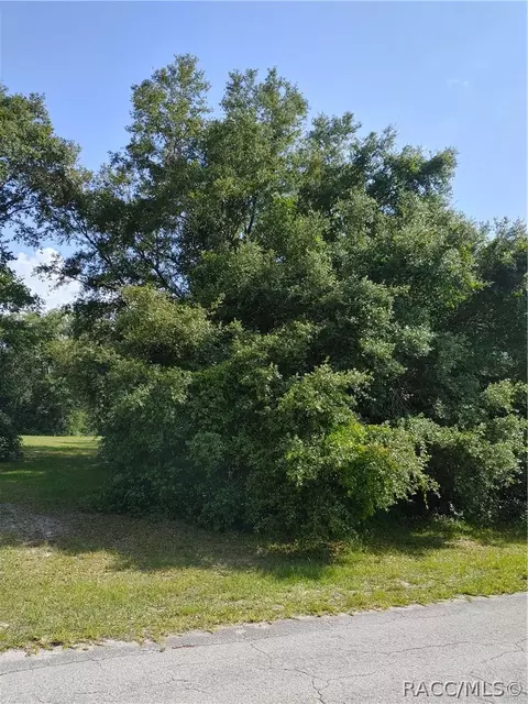 318 E Tara Ct, Hernando, FL 34442 photo 9