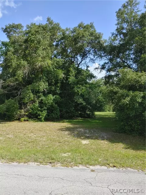 318 E Tara Ct, Hernando, FL 34442 photo 10