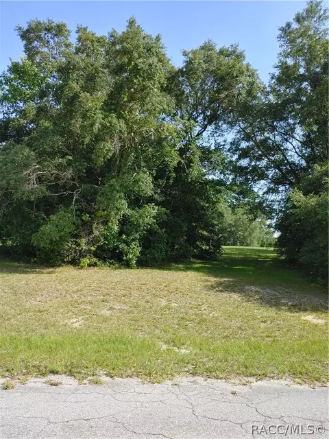 318 E Tara Ct, Hernando, FL 34442 photo 2