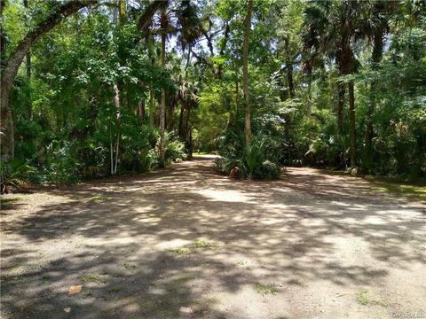 7311 N Spring Run Ter, Hernando, FL 34442 photo 29