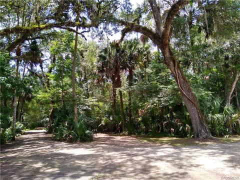 7311 N Spring Run Ter, Hernando, FL 34442 photo 30
