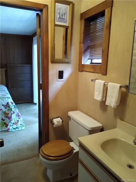 7311 N Spring Run Ter, Hernando, FL 34442 photo 22
