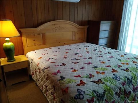 7311 N Spring Run Ter, Hernando, FL 34442 photo 19