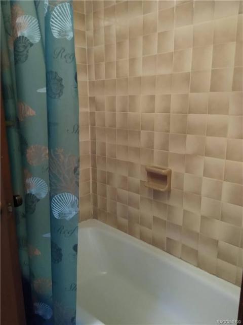 7311 N Spring Run Ter, Hernando, FL 34442 photo 21