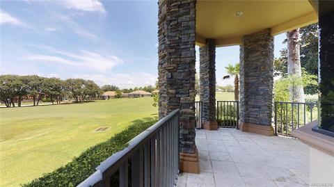 1101 W Pointe Vista Path, Hernando, FL 34442 photo 34