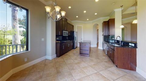 1101 W Pointe Vista Path, Hernando, FL 34442 photo 6