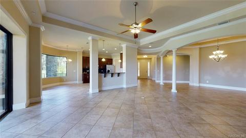 1101 W Pointe Vista Path, Hernando, FL 34442 photo 9
