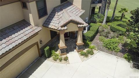 1101 W Pointe Vista Path, Hernando, FL 34442 photo 41