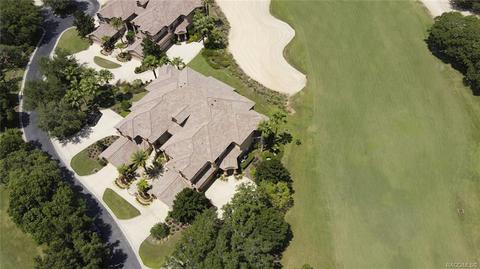 1101 W Pointe Vista Path, Hernando, FL 34442 photo 43