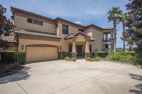 1101 W Pointe Vista Path, Hernando, FL 34442 photo 1