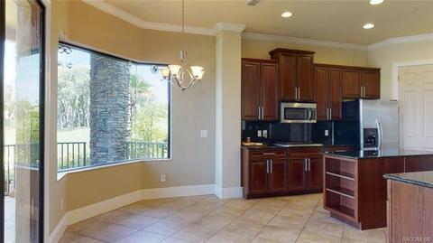 1101 W Pointe Vista Path, Hernando, FL 34442 photo 11