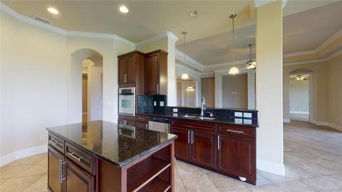 1101 W Pointe Vista Path, Hernando, FL 34442 photo 14