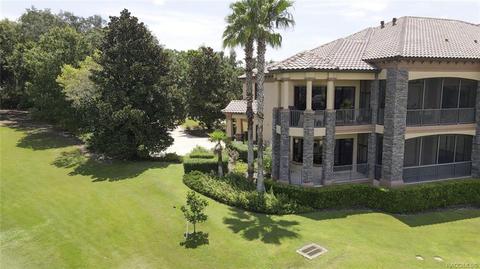 1101 W Pointe Vista Path, Hernando, FL 34442 photo 45