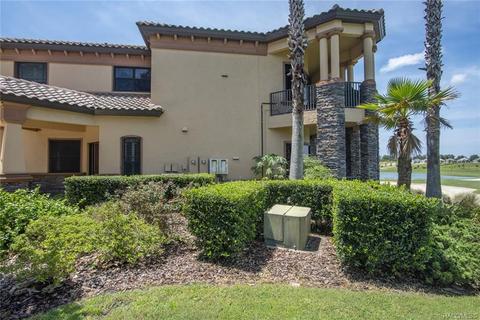 1101 W Pointe Vista Path, Hernando, FL 34442 photo 38