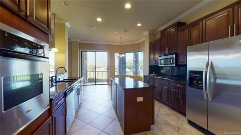 1101 W Pointe Vista Path, Hernando, FL 34442 photo 16
