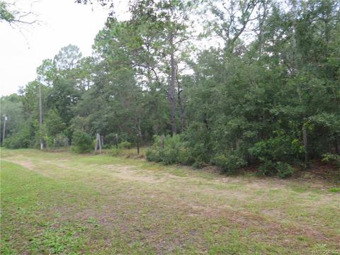 1435 W Milan Ln, Hernando, FL 34442 photo 1