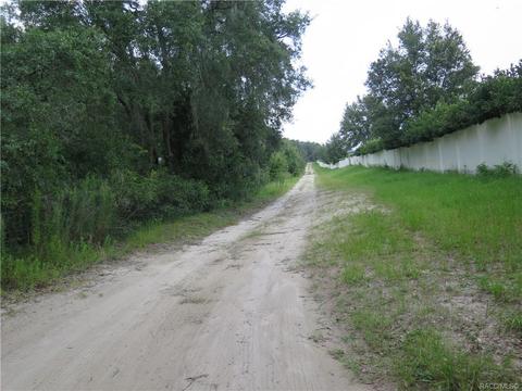 1435 W Milan Ln, Hernando, FL 34442 photo 5