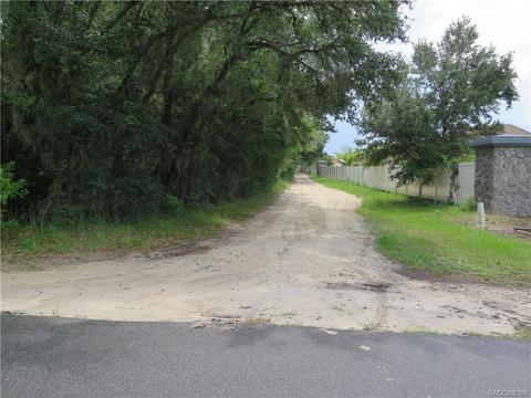 1435 W Milan Ln, Hernando, FL 34442 photo 11