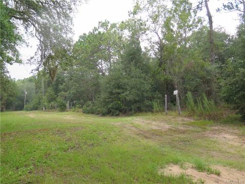 1435 W Milan Ln, Hernando, FL 34442 photo 8