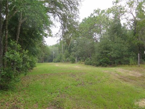 1435 W Milan Ln, Hernando, FL 34442 photo 2