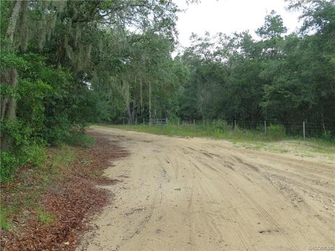 1435 W Milan Ln, Hernando, FL 34442 photo 6