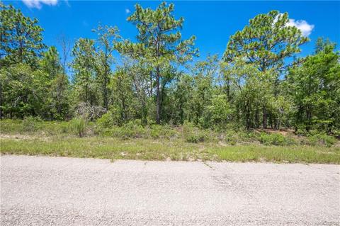 6272 N Fentress Ter, Citrus Springs, FL 34433